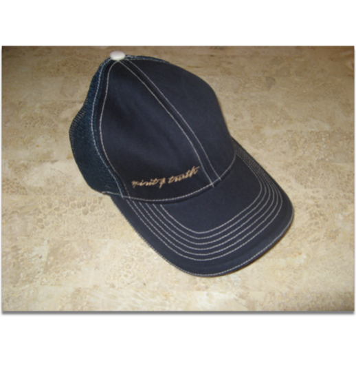 Blue Old Skool Cap