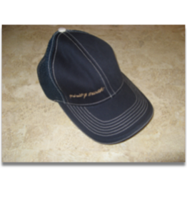 Blue Old Skool Cap